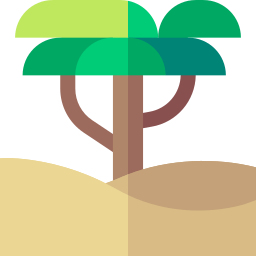 acacia icona