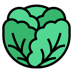 Cabbage icon