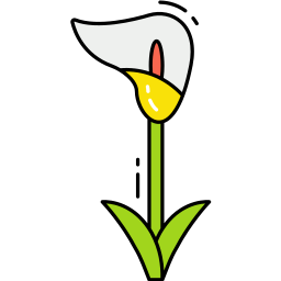Калла Лили иконка