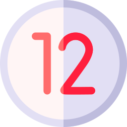 12 icon