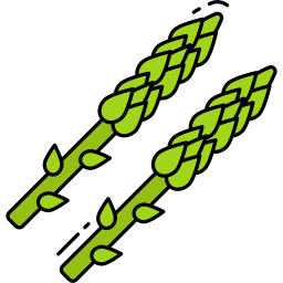 Asparagus icon