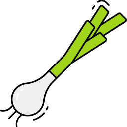 Spring onion icon