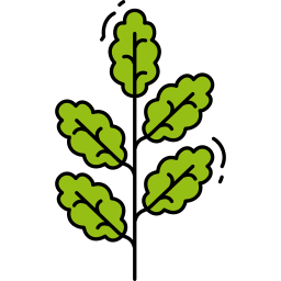 Moringa icon