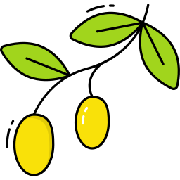 oliva icona