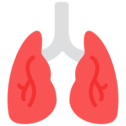 pulmones icono