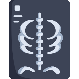 Рентгеновский иконка