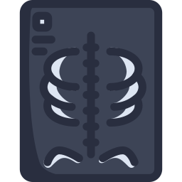 X ray icon