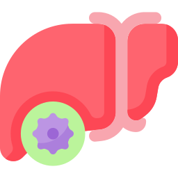 fegato icona