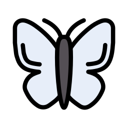 Insect icon