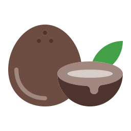 kokosnoot icoon