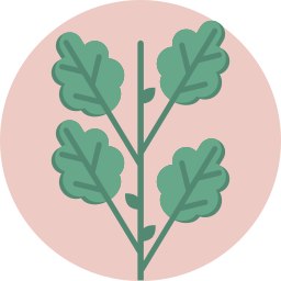 나뭇잎 icon
