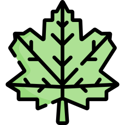 Leaf icon