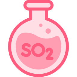 so2 icon