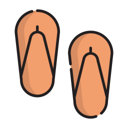 Flip flops icon