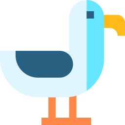 Seagull icon