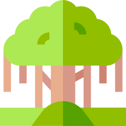 albero di banyan icona