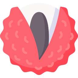 lychee icono