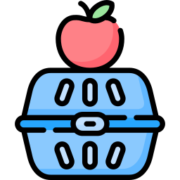 cassetta di frutta icona