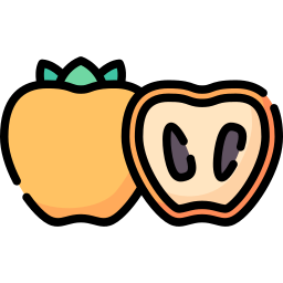 persimmon icon