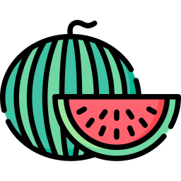 Watermelon icon