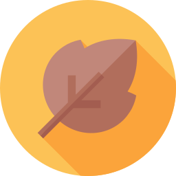 Leaf icon