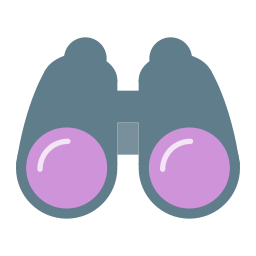 Binoculars icon