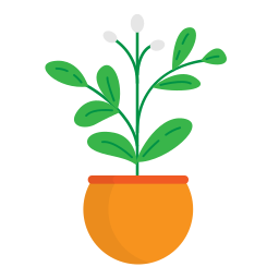 plante Icône