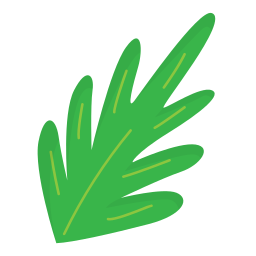 Leaf icon