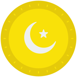 Coin icon