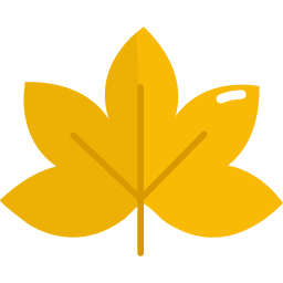 Mapple leaf icon
