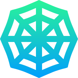 Spider web icon