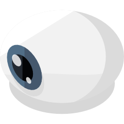 Eyeball icon