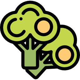 Broccoli icon