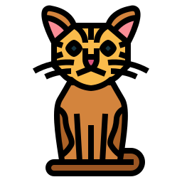 American wirehair cat icon
