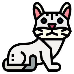 gato burmilla icono