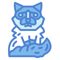 バーマン猫 icon