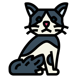 Cymric cat icon