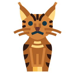 ピクシーボブ猫 icon