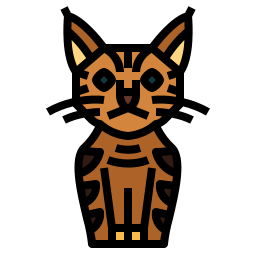 Pixie bob cat icon