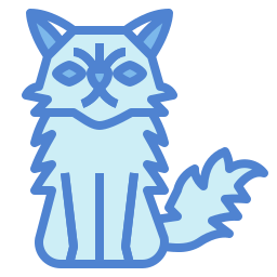 gato persa icono