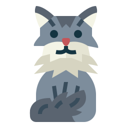 gatto siberiano icona