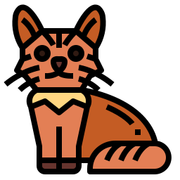 Somali cat icon