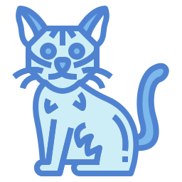 gato singapura icono