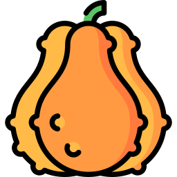 calabaza icono