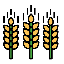 Wheat icon