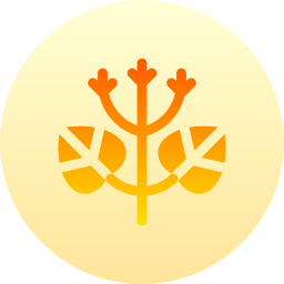 Linden icon