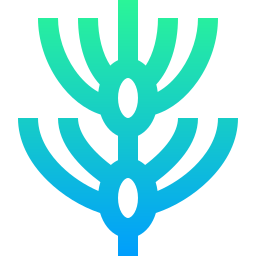 ルイボス icon