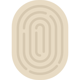 Fingerprint icon