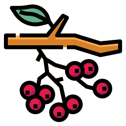 obstbaum icon