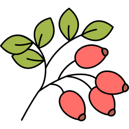 매자나무 icon